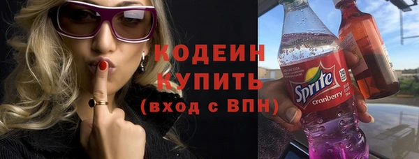 ешки Снежногорск