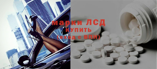 ешки Снежногорск