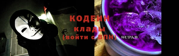 ешки Снежногорск