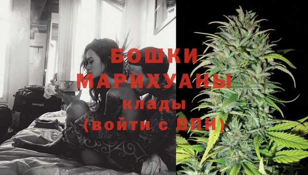 ALPHA PVP Снежинск