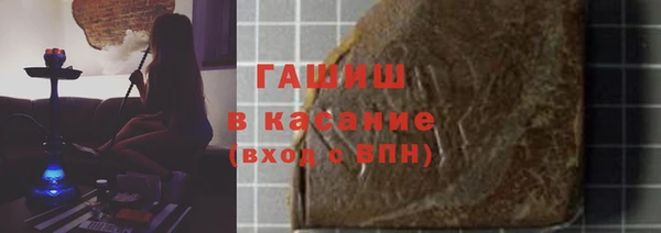 индика Богородицк