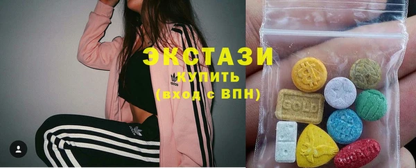 ешки Снежногорск