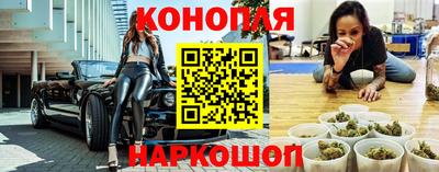 прущие крисы Бийск