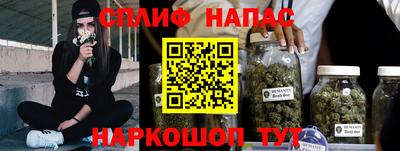 прущие крисы Бийск