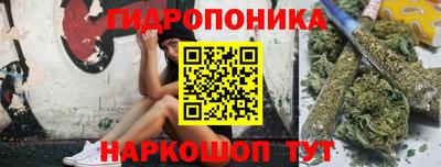 прущие крисы Бийск