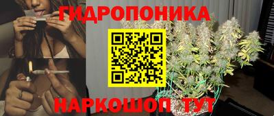 прущие крисы Бийск