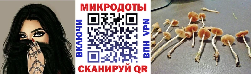 omg ТОР  Воронеж  Галлюциногенные грибы Magic Shrooms 