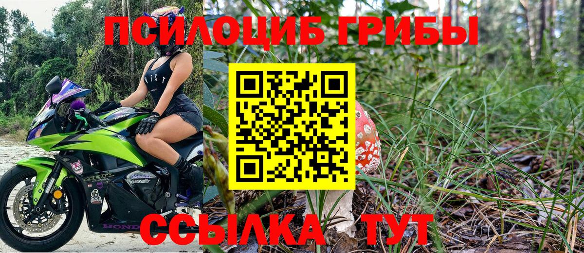 Галлюциногенные грибы Magic Shrooms  купить закладку  Воронеж  Вход с VPN 