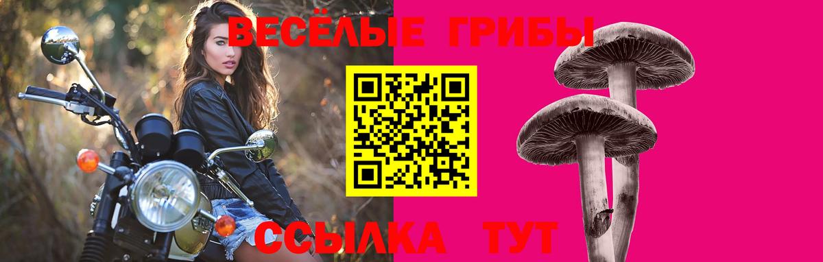 Галлюциногенные грибы мицелий Воронеж